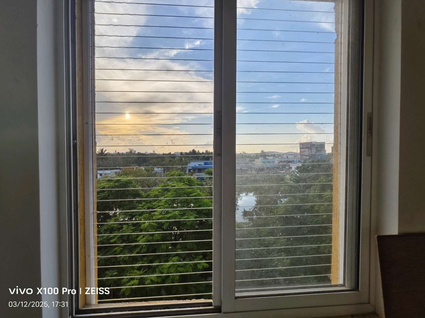 Transparent pigeon net for windows installed in Nellore, Chennai by YPL Safety Nets