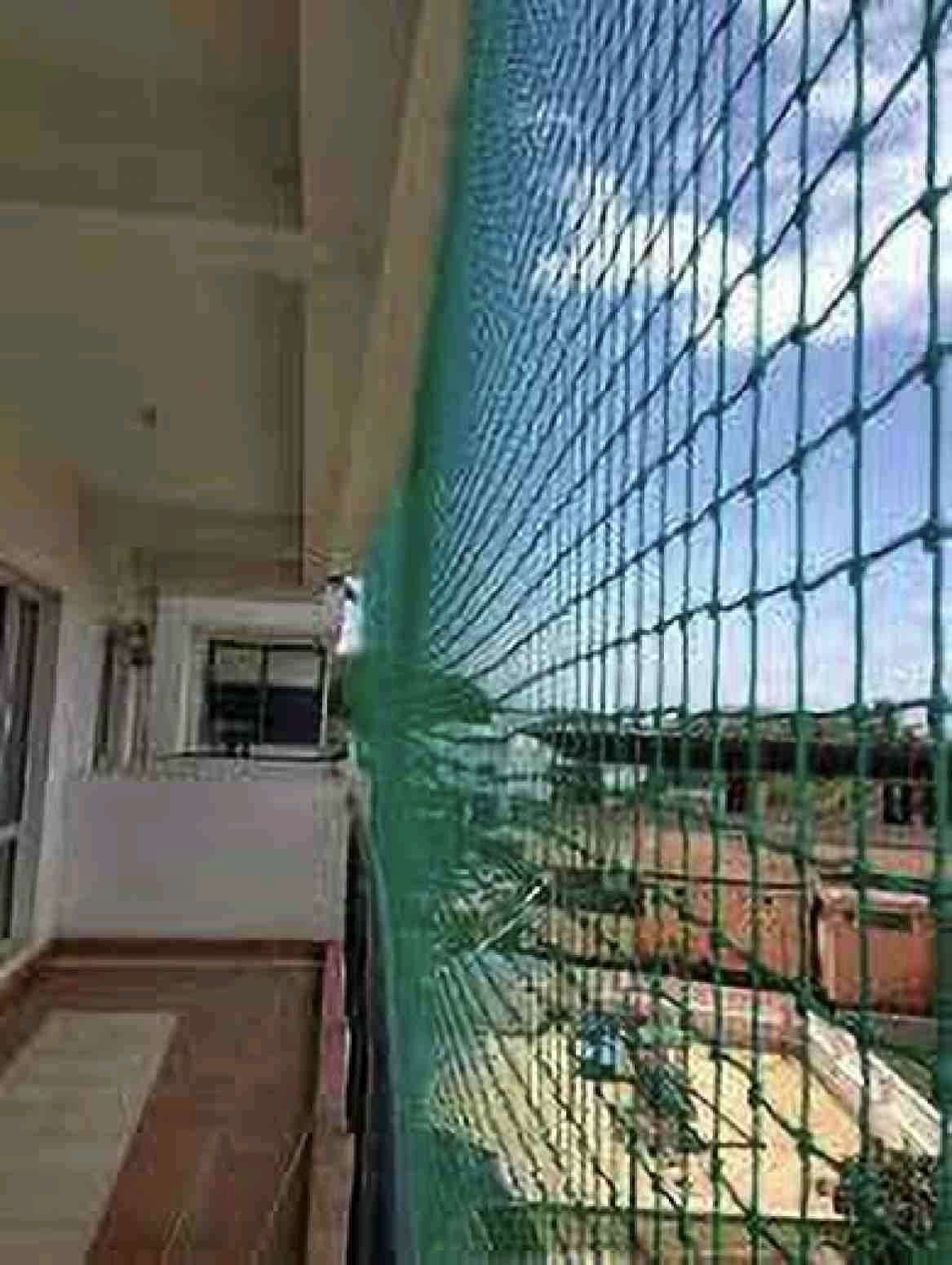 Green balcony safety net fitted from floor to ceiling for Cat safety nets Chennai by YPL Safety Nets Chennai. Green balcony safety net fitted from floor to ceiling for Cat safety nets Chennai by YPL Safety Nets Chennai.