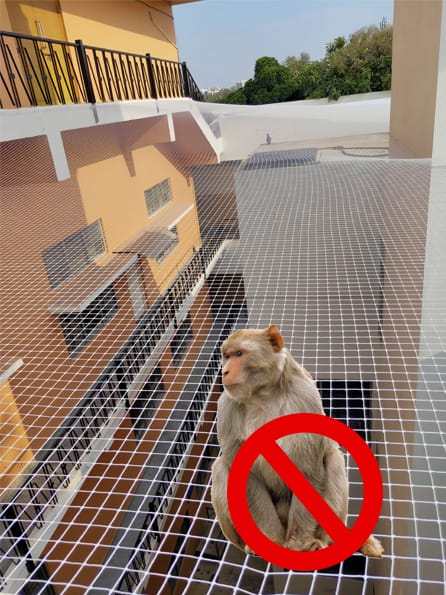 Monkey safety net installed over a balcony by YPL Safety Nets Chennai to stop monkeys and large birds - call 9600035014