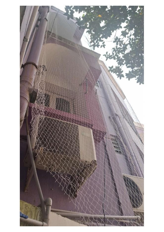 Bird-control net installed across an exterior service area for Bird nets Chennai by YPL Safety Nets Chennai. Bird-control net installed across an exterior service area for Bird nets Chennai by YPL Safety Nets Chennai.