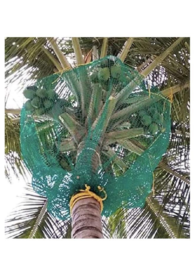 Green containment net secured around a coconut tree crown for Monkey safety nets Chennai by YPL Safety Nets Chennai. Green containment net secured around a coconut tree crown for Monkey safety nets Chennai by YPL Safety Nets Chennai.