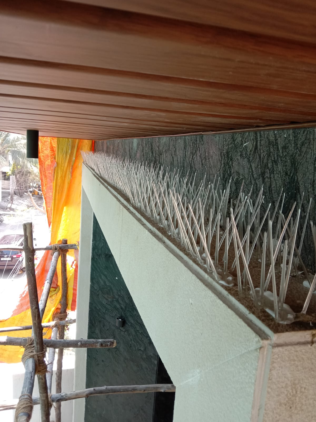 Stainless steel bird spikes installed on a parapet wall by YPL Safety Nets Chennai — anti pigeon spike installation