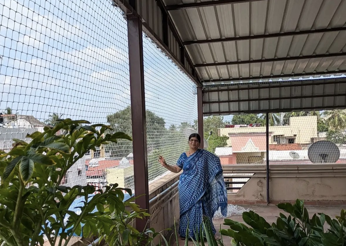 Pigeon nets & bird spikes