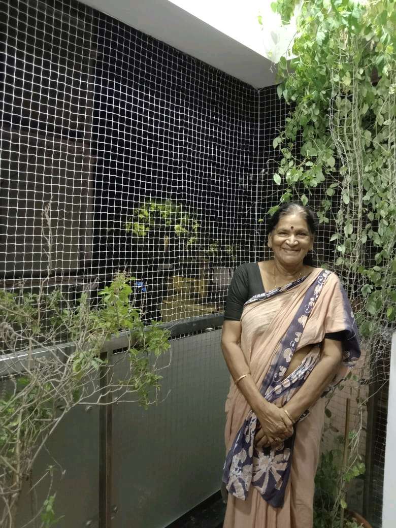 YPL Safety Nets चेन्नई