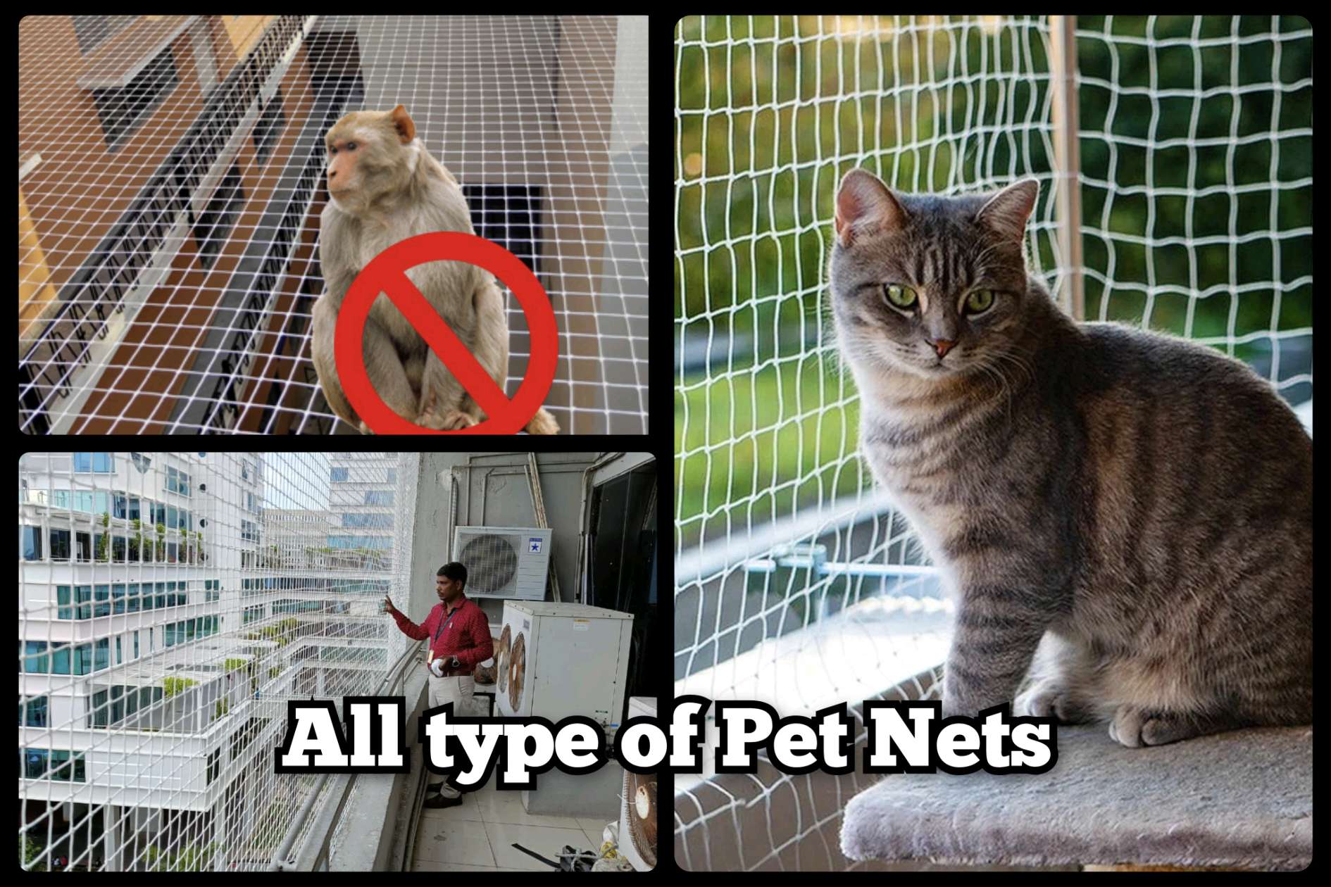 Pet and cat safety net examples for balconies for Cat safety nets Chennai by YPL Safety Nets Chennai. Pet and cat safety net examples for balconies for Cat safety nets Chennai by YPL Safety Nets Chennai.